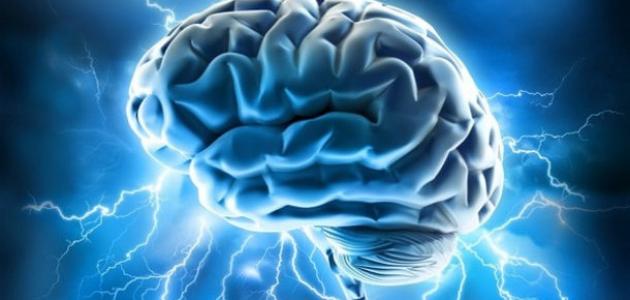 آليات معقدة لعمل الدماغ (وسائل التواصل) 