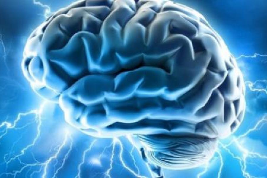 آليات معقدة لعمل الدماغ (وسائل التواصل) 